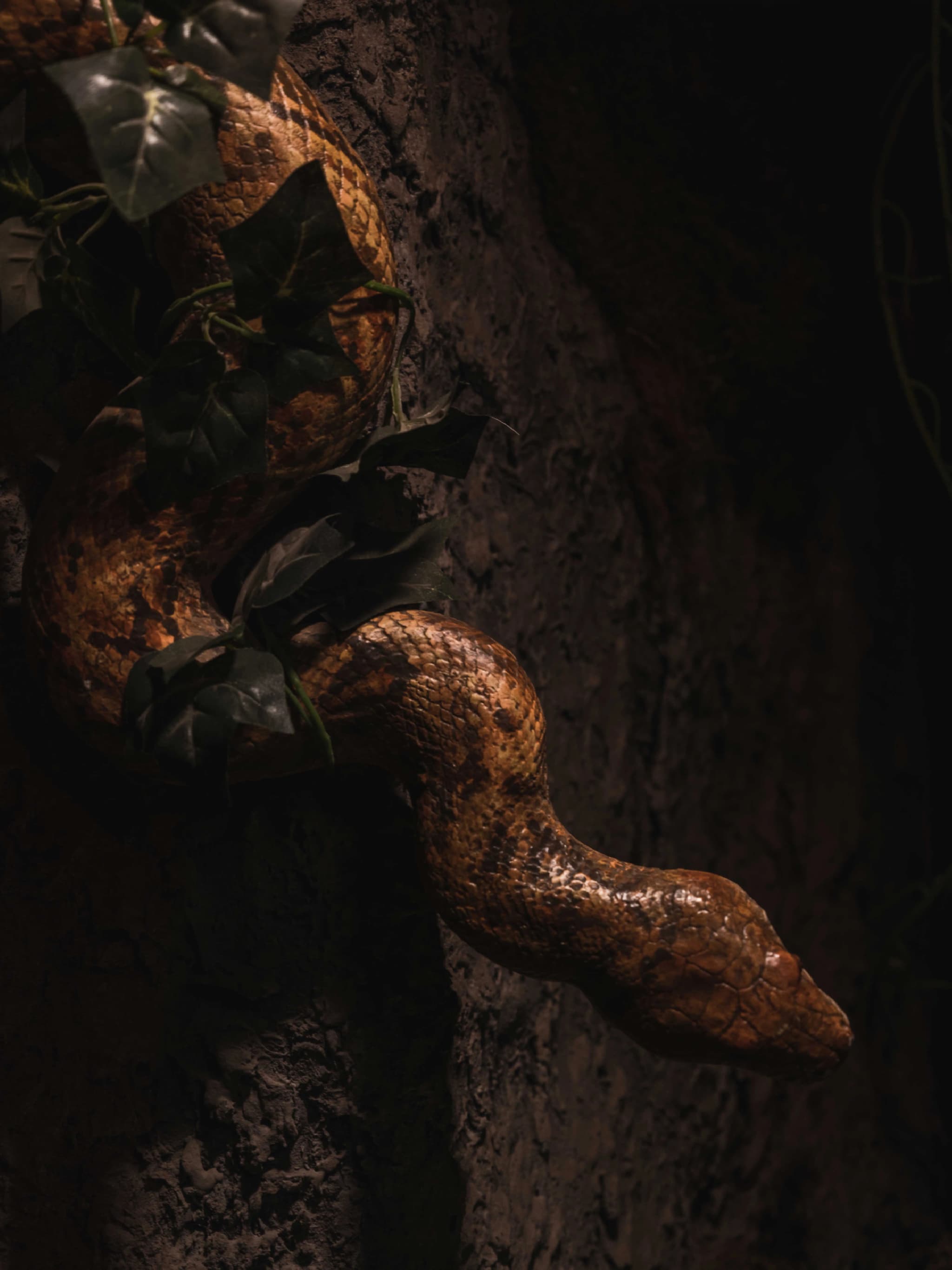 /images/Jumanji/Jumanji-4.webp